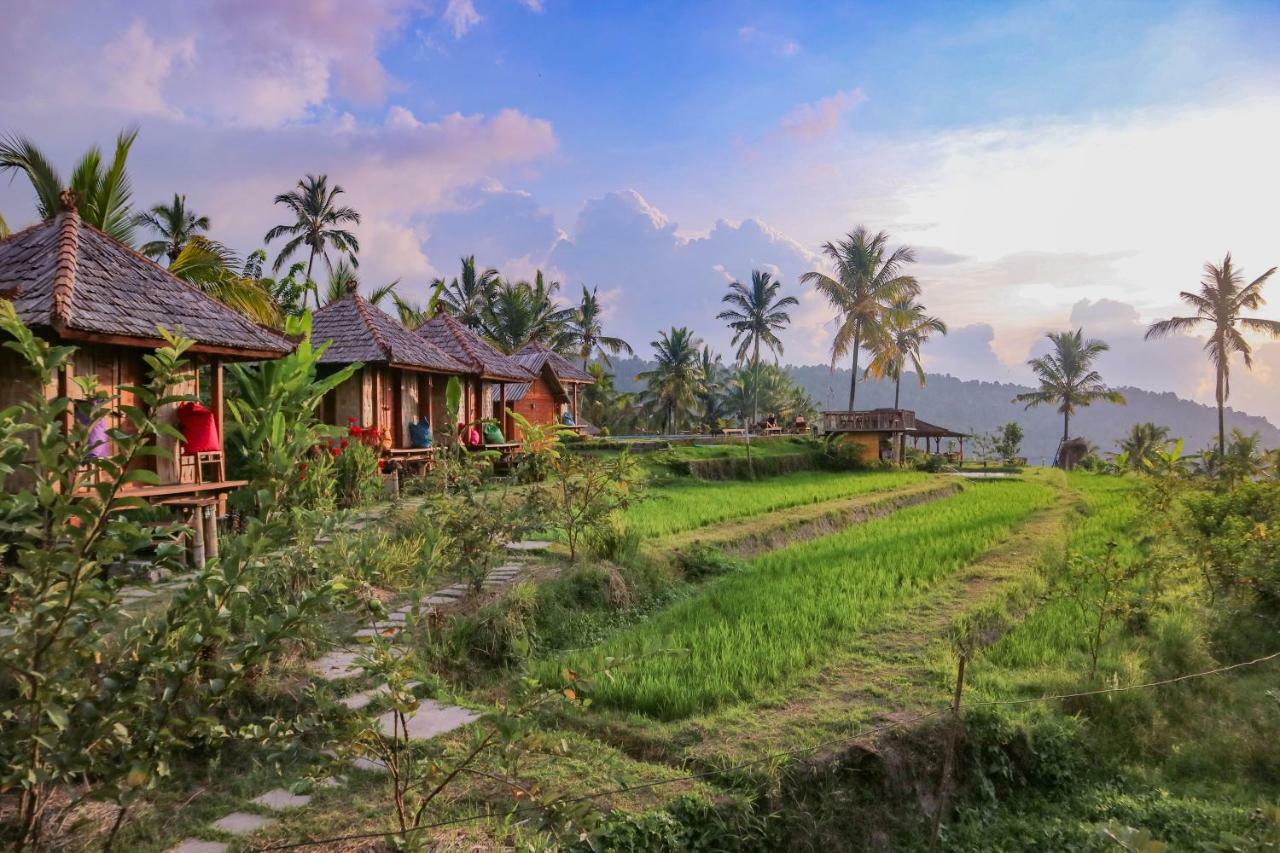 Puri Sunny Camp Villa Munduk  Exterior photo